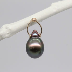 Tamara Gomez TGE60 One of a Kind Tahitian Pearl Stud in 9ct Yellow Gold 1
