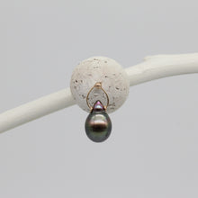 Load image into Gallery viewer, Tamara Gomez TGE60 One of a Kind Tahitian Pearl Stud in 9ct Yellow Gold 2
